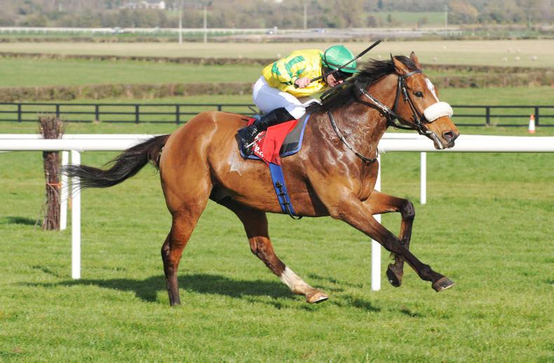 Brendan Brackan navigates his way to yet another Cork success