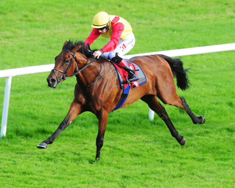 Yulong Gold Fairy strikes it rich for Dermot Weld at Naas