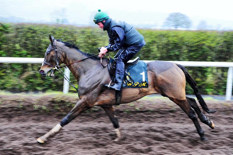 Vautour dies in freak paddock accident
