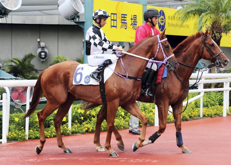 HONG KONG: Master Albert to relish ideal draw, says So