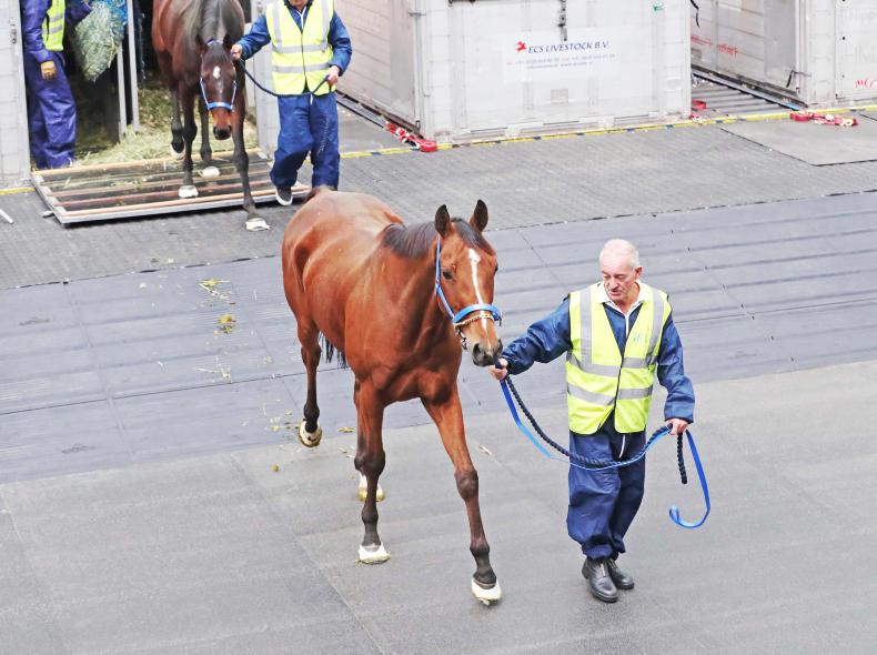 AUSTRALIA: Internationals into action as Spring Carnival begins