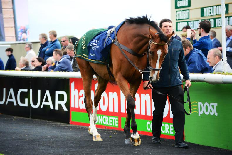 Willie Mullins has Morgiana in mind for Faugheen