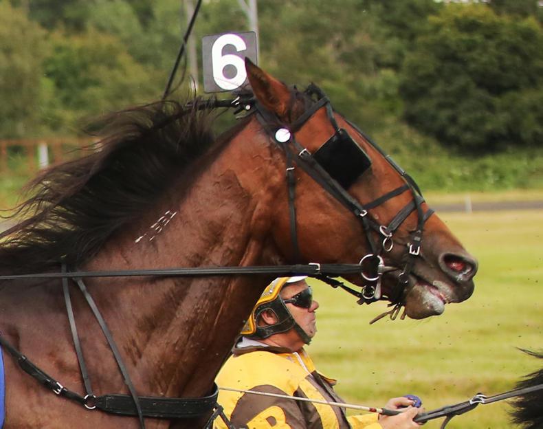 HARNESS RACING:  Astounding takes emotional success