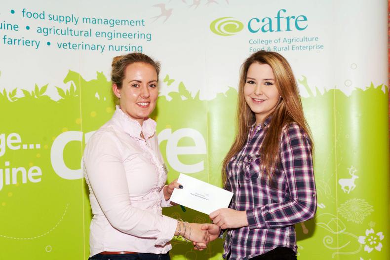 PONY TALES:  HSI awards bursary to CAFRE equine student