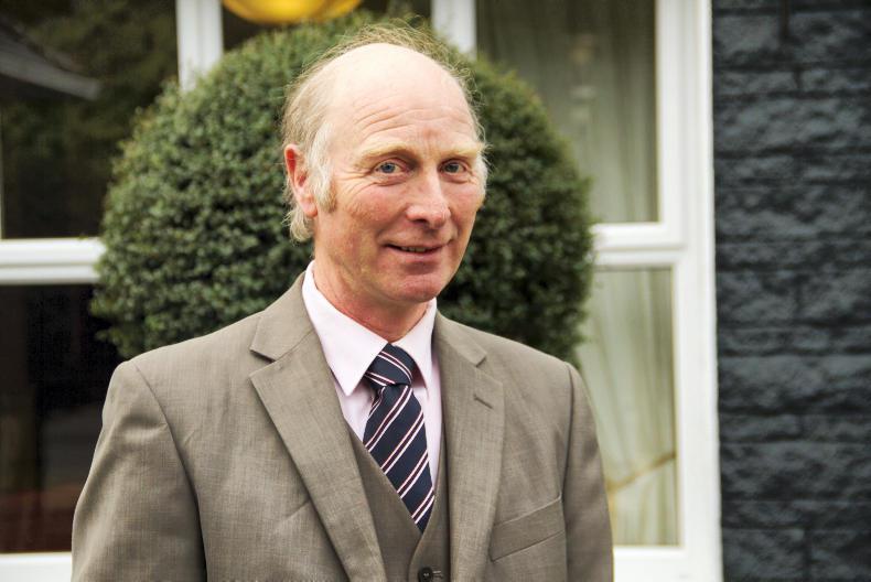 PONY TALES:  Two clubs achieve gold standard