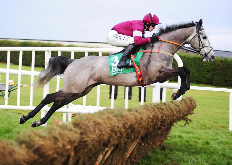 Petit Mouchoir makes winning start over fences at Punchestown