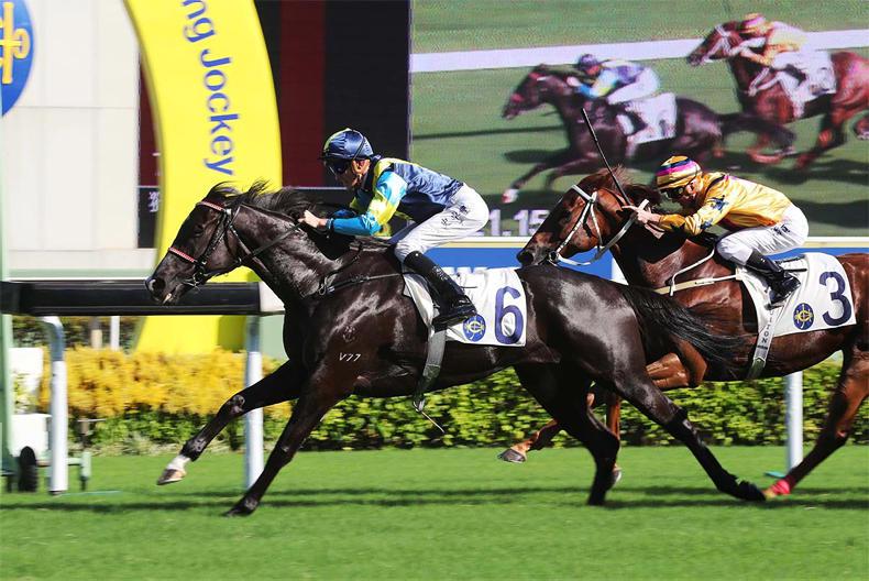 HONG KONG: Sha Tin Sunday top tips and selections 