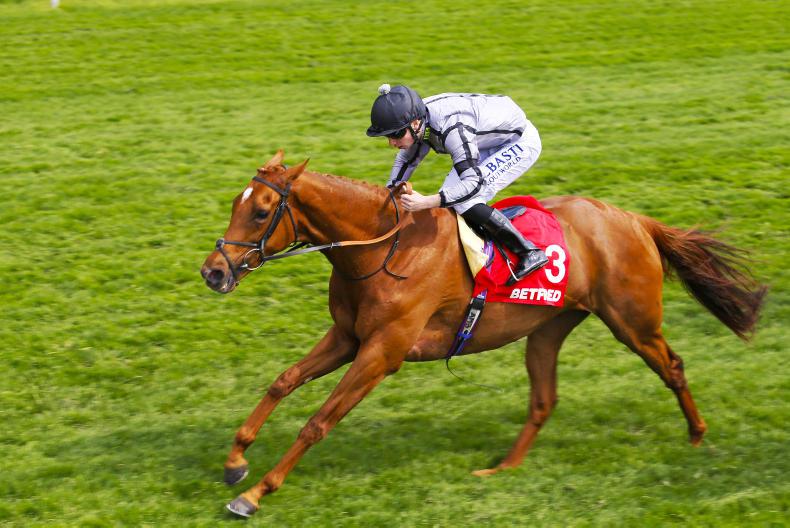 PEDIGREE NOTES: Group 1 wins for Azamour, Footstepsinthesand, Siyouni & Tamayuz