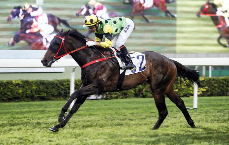 HONG KONG: Nothingilikemore’s path to the Classic Mile begins