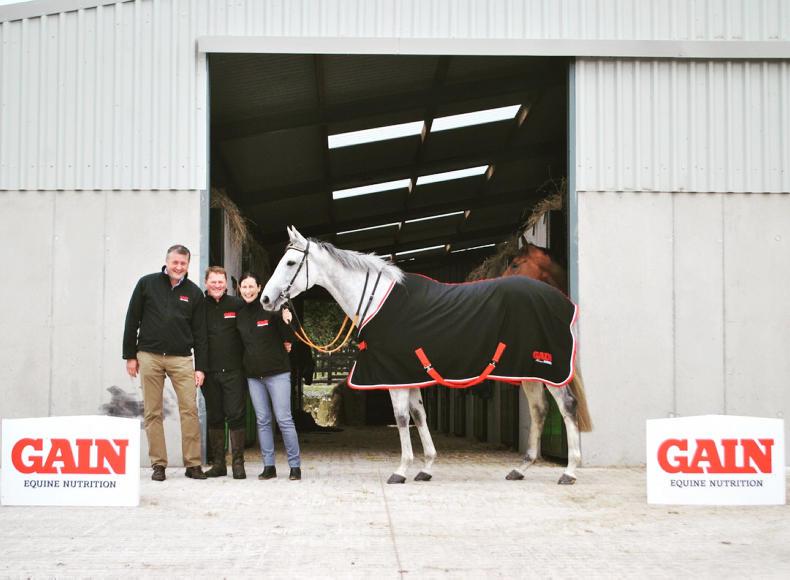 MARGIE MCLOONE: Gain supports mares’ series again