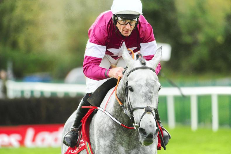 PUNCHESTOWN WEDNESDAY: Dashing display from Petit Mouchoir 
