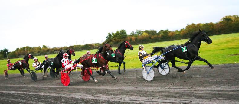 HARNESS RACING:  Caffrey calls the shots