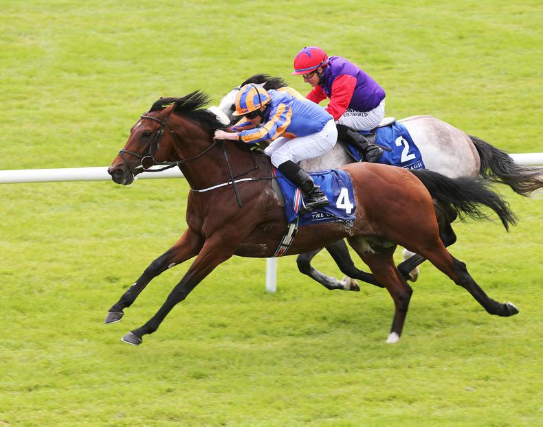 New format for five-day Foal Sale