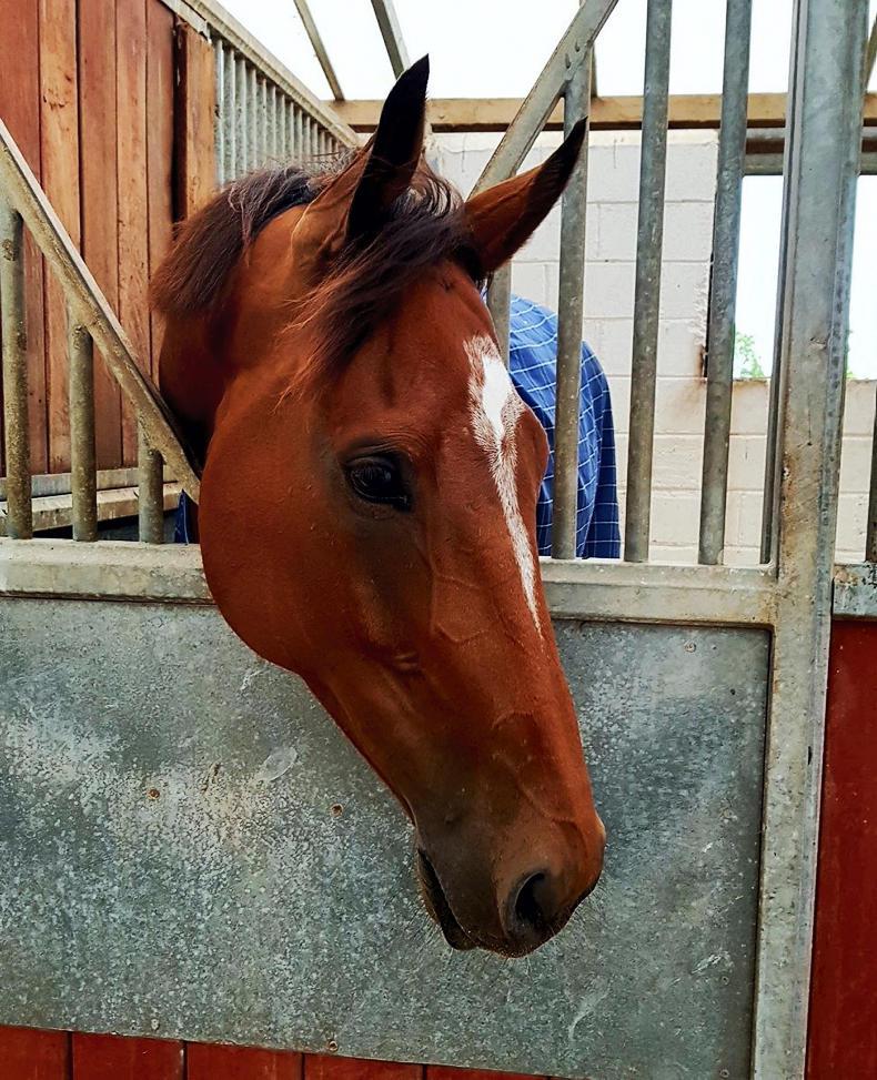 THE WEEK THAT WAS: Twitter talk