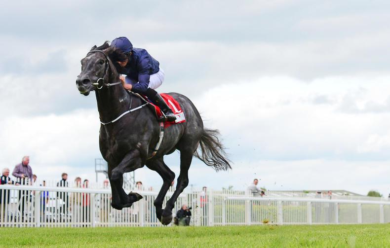 RORY DELARGY: Caravaggio can avenge July Cup defeat 