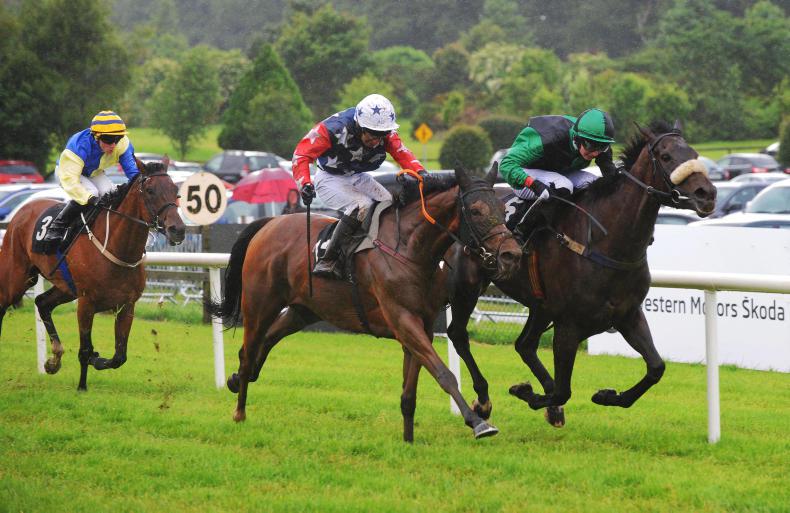 FAIRYHOUSE SATURDAY: Wait til late to get on Flynn's golden Highway