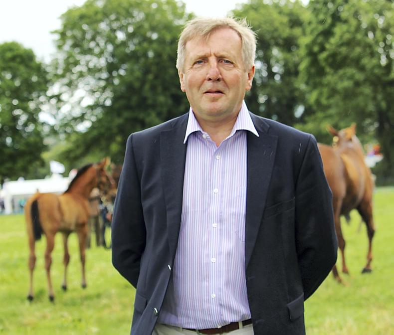 Creed: We need a practical approach to equine working hours