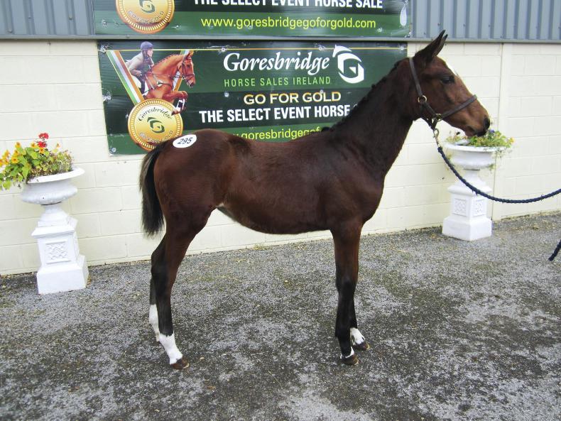 GORESBRIDGE SALES:  Sale-topping filly smashes foal records at €35,000