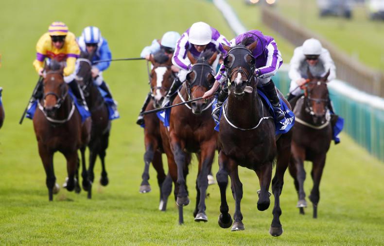 SIMON ROWLANDS: Flag flying highest after course record