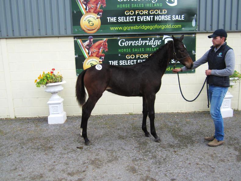 COMMENT:  Survival of the fittest