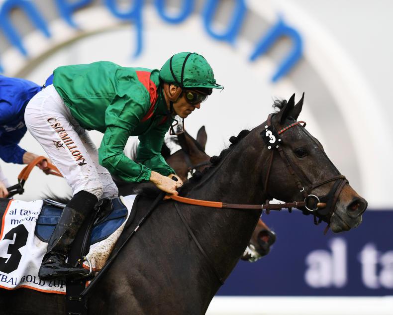 FRENCH PREVIEW: Vazirabad for Royal-Oak repeat