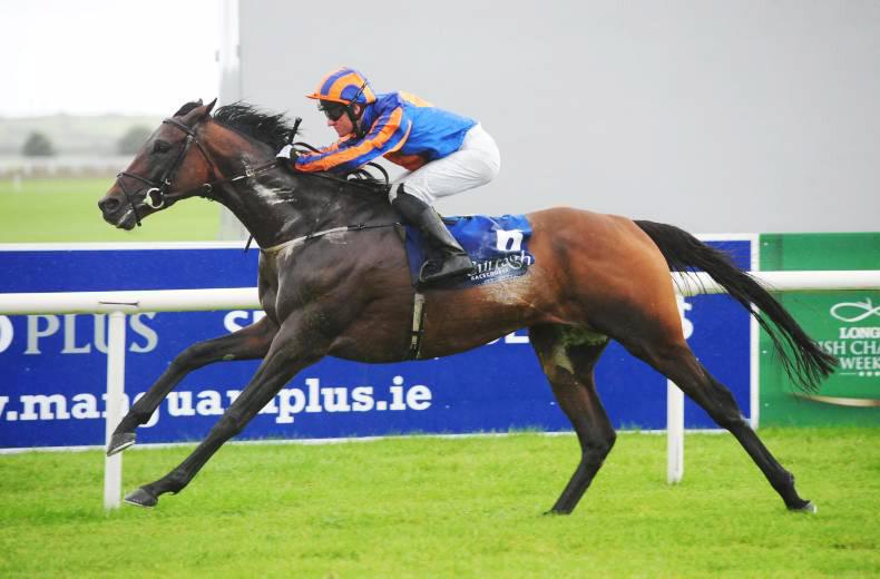 Order Of St George goes the distance in thriller at Ascot