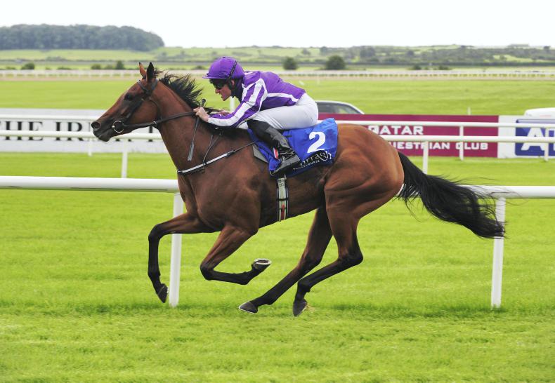 VIDEO: Hydrangea win sees Aidan O'Brien equal Group 1 world record