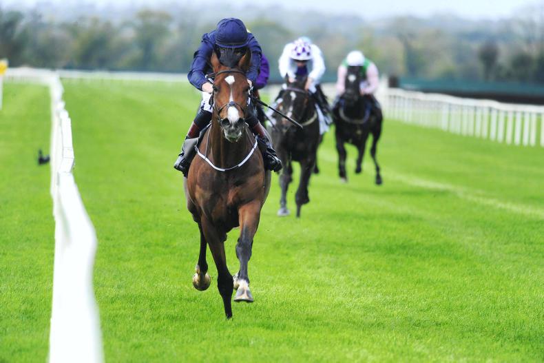 Derby prospect Kenya too hot for Killavullan Stakes rivals