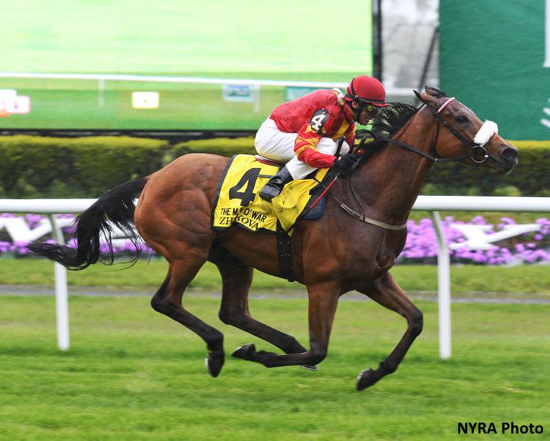 Marsha joins Zhukova and Intricately at Tattersalls December Sale 