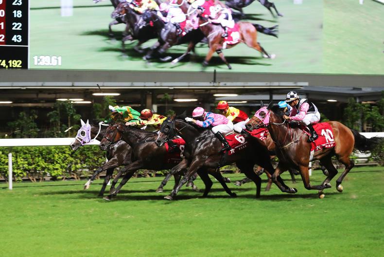 HONG KONG: Expert tips for Happy Valley's Wednesday card