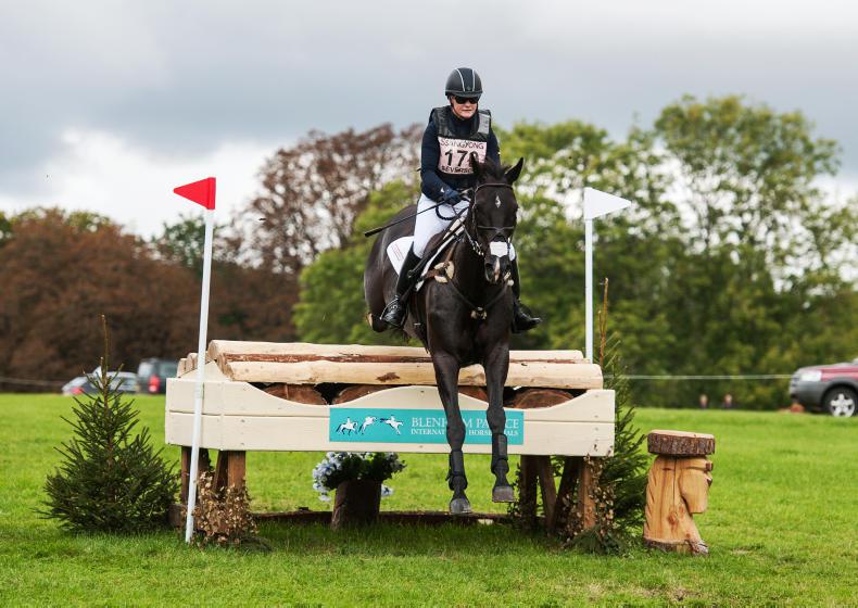 FEATURE: What does the WBFSH title mean for the breeders?