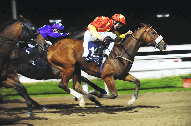 DUNDALK FRIDAY: Bolger filly strikes gold 