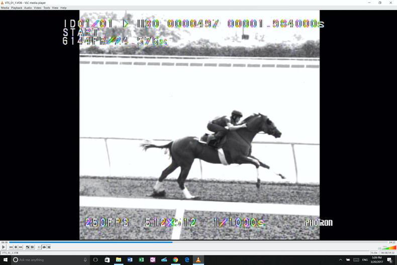 HORSE SENSE: Seder the trend setter