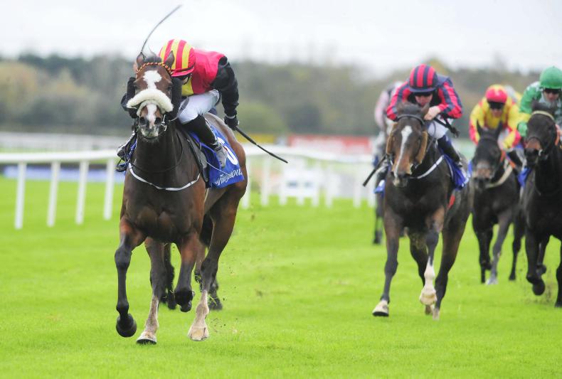 FAIRYHOUSE TUESDAY: Truffles skips over heavy ground
