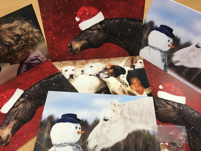 PONY TALES:  RDAI Christmas cards available