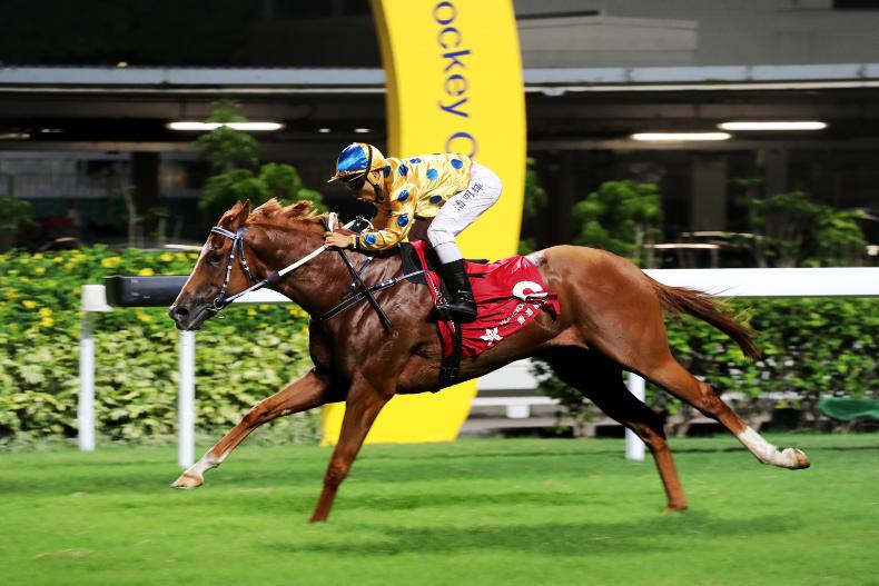 HONG KONG: Happy Valley Sunday selections 