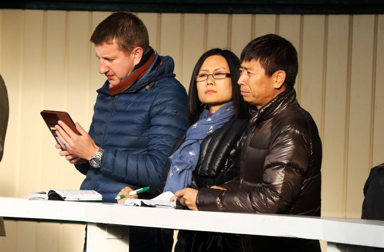 Chinese owner buys 39 yearlings at Goffs Sale