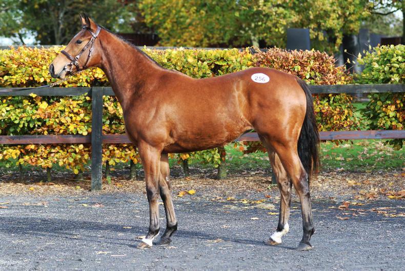 SALES: Solid sale figures but overproduction in evidence