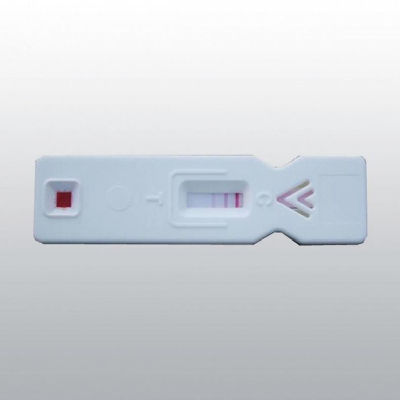 HORSE SENSE: Five equine technologies to look forward to