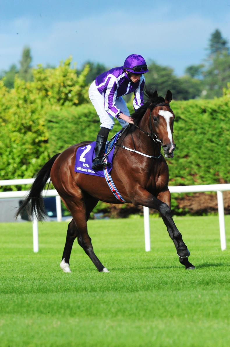 FRENCH PREVIEW: Delano for Saint-Cloud delight