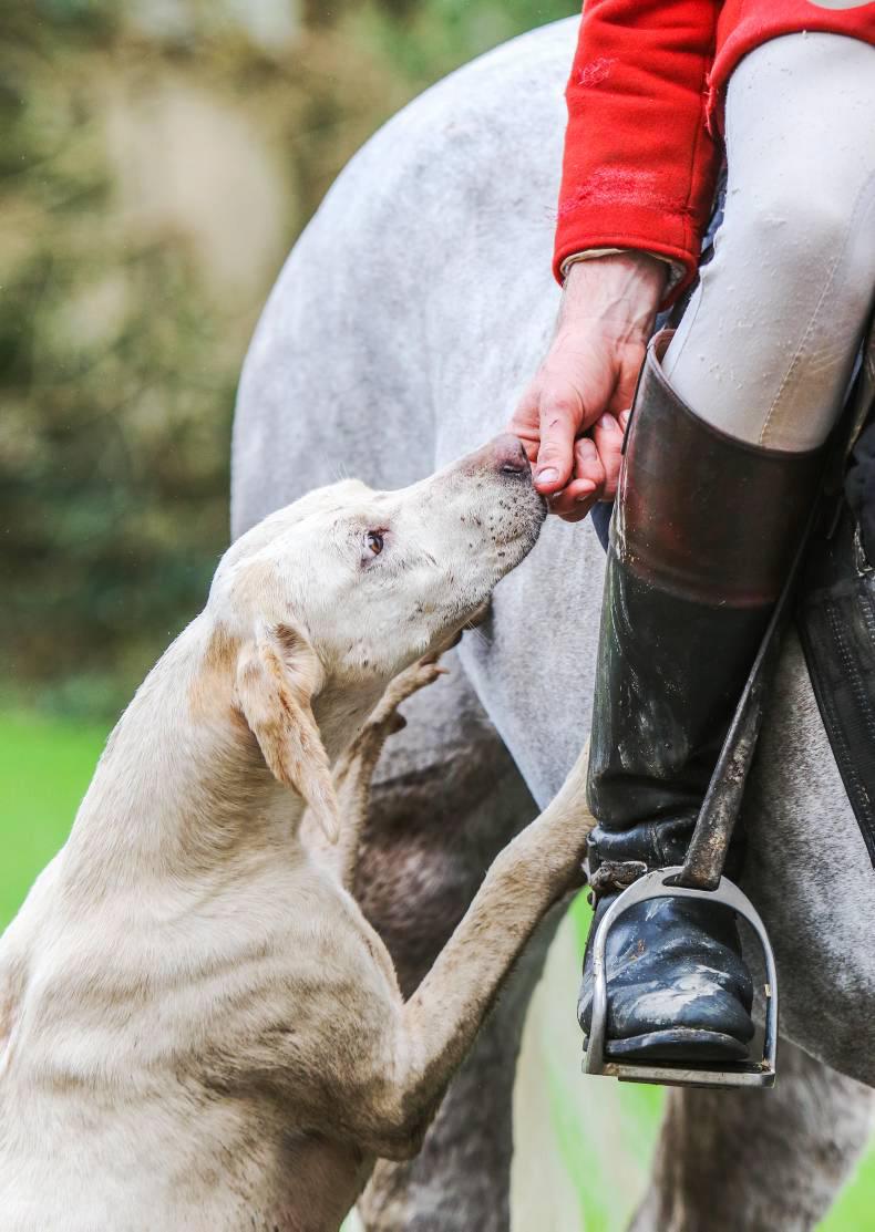 NEWS:  Hunting and county shows contribute over €64m 
