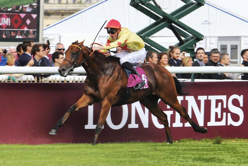 National Defense to stand at the Irish National Stud