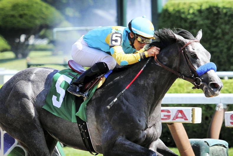 El Kabeir to stud in Ireland 