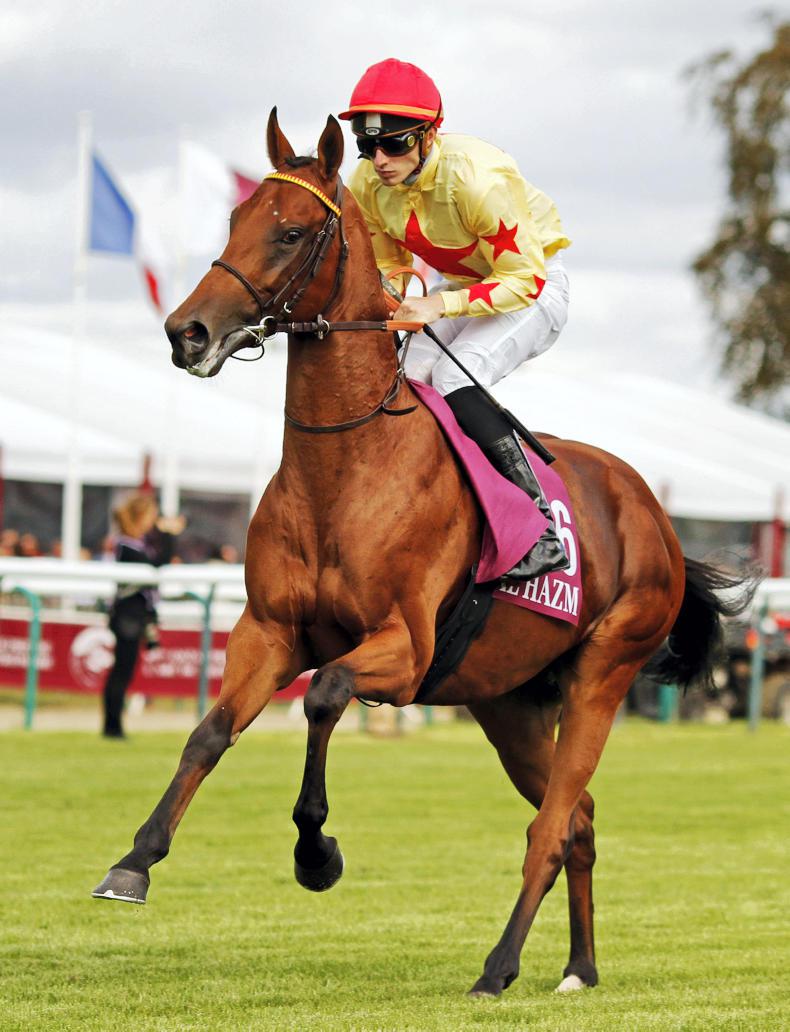 Irish National Stud lands new stallion