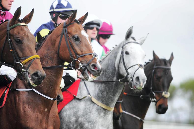 LADBROKES NAP TABLE: Weekend October 28/29th