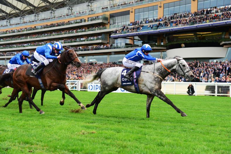 It's all a Breeze for Mount Nelson