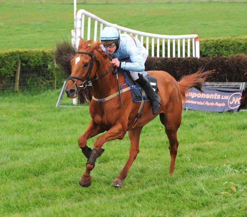 ROUND UP: Frankie still the form horse