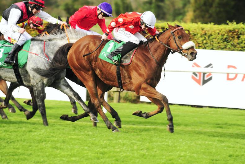 NAVAN WEDNESDAY: Old favourite Maarek bounces back 