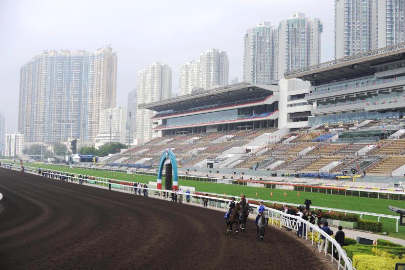 HONG KONG: Time for Classic Emperor to rule on dirt