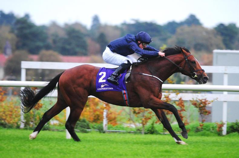 LEOPARDSTOWN SATURDAY: Flag Of Honour stars in the feature 
